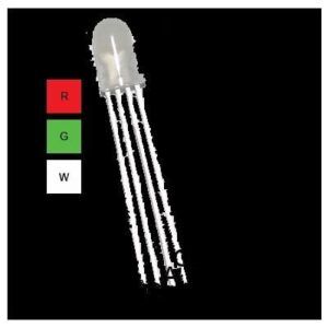 LED 5mm RGW Common Anode
