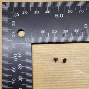 Britannia N Body Retaining Screw PAIR