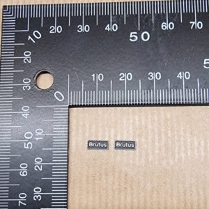 Class 68 OO Nameplate Brutus PAIR