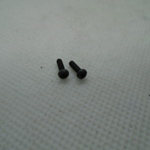 Screw PAIR (Ø3.0xØ2.0x5.5mm)